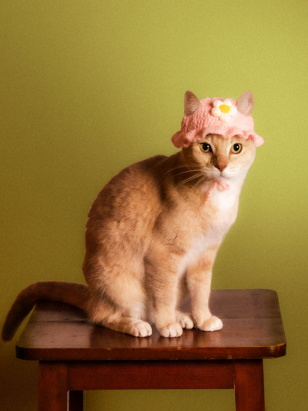 The Flower Bonnet (Pink & White)