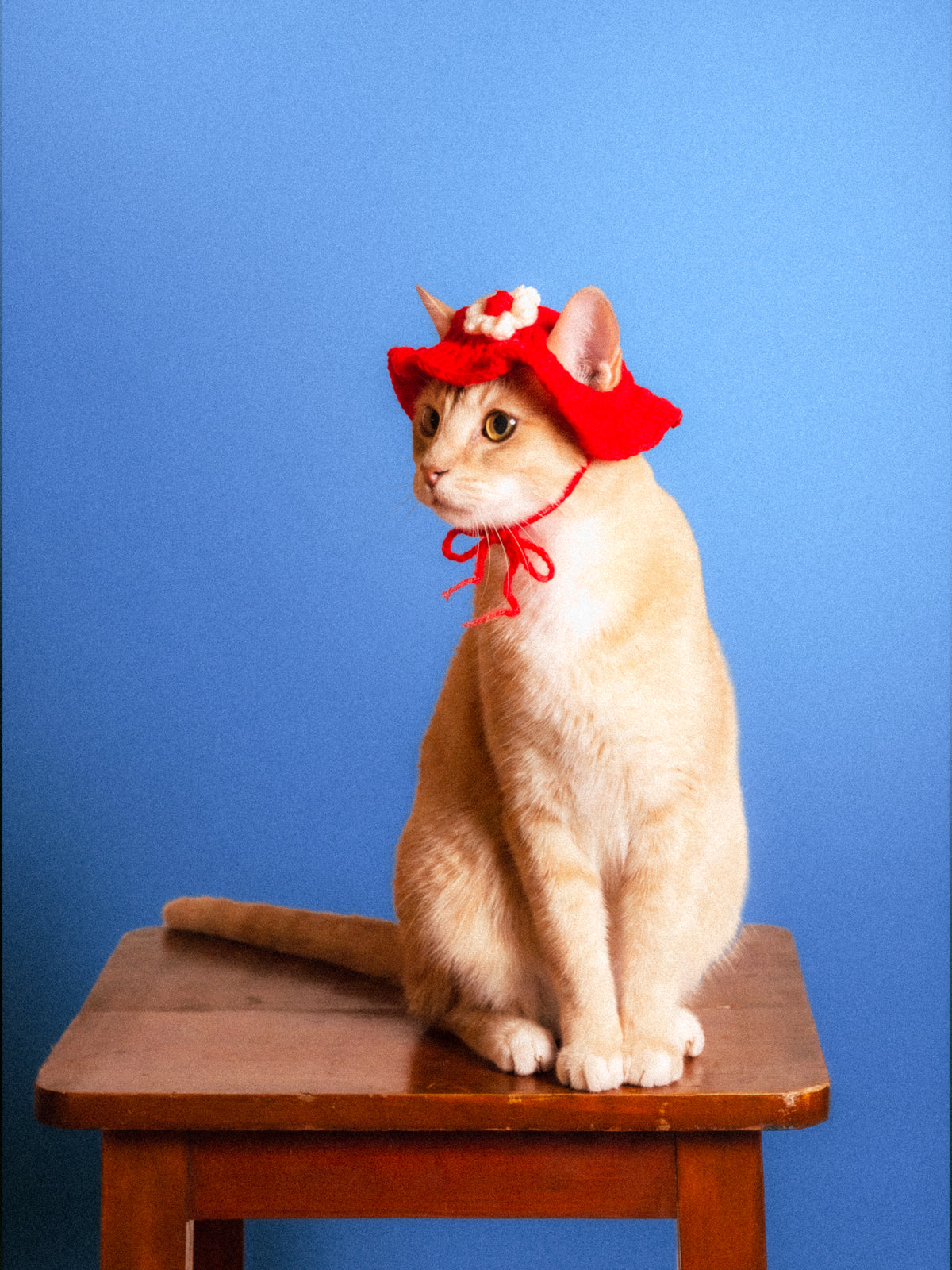 The Flower Bonnet (Red & White)