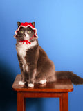 The Classic Bonnet (Red & White)