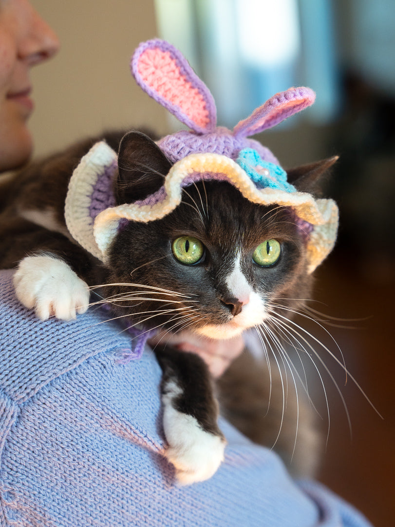 The Bunny