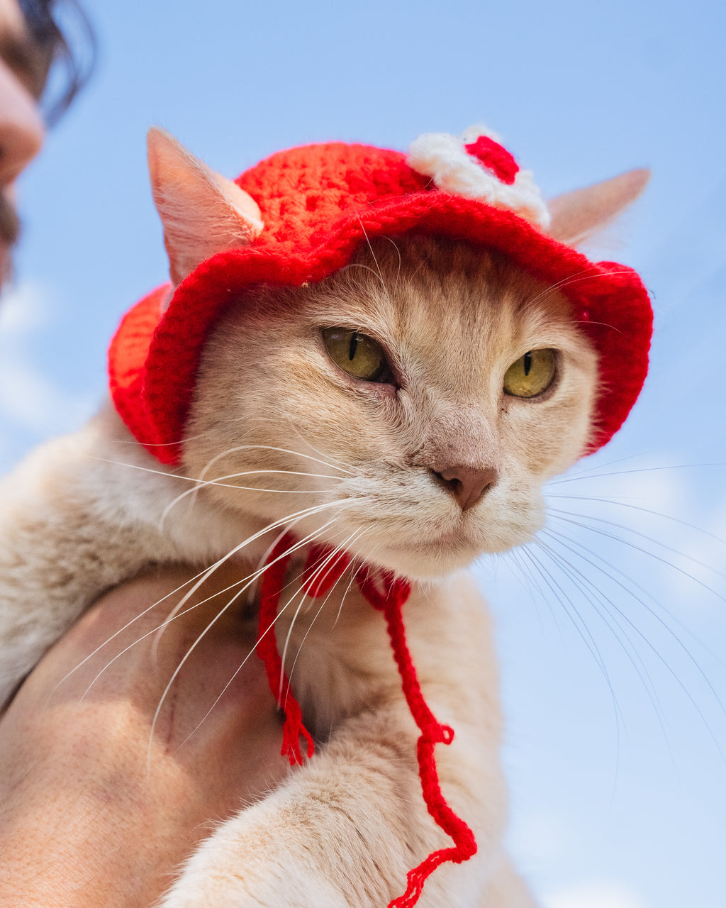 The Flower Bonnet (Red & White)