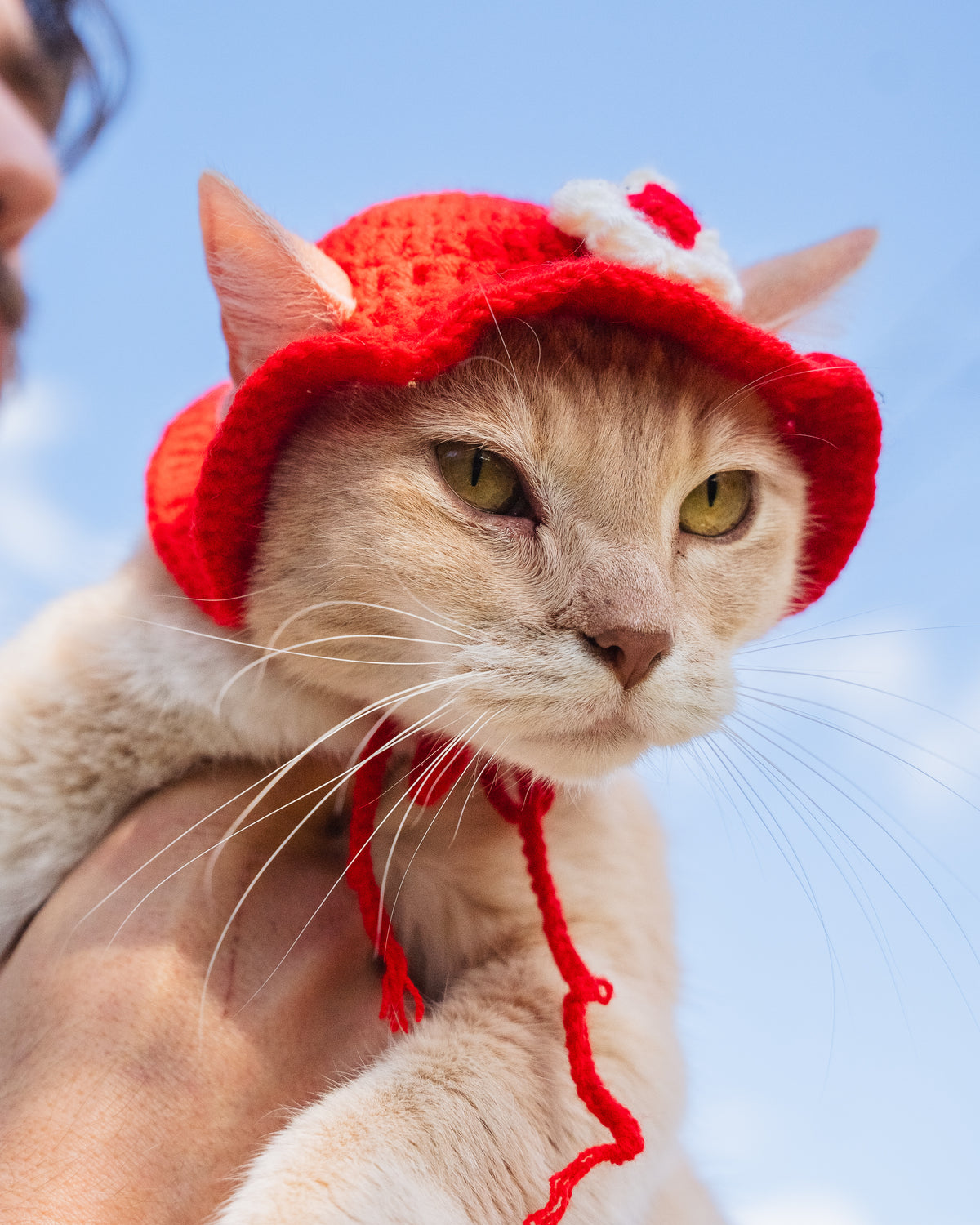 The Flower Bonnet (Red & White)