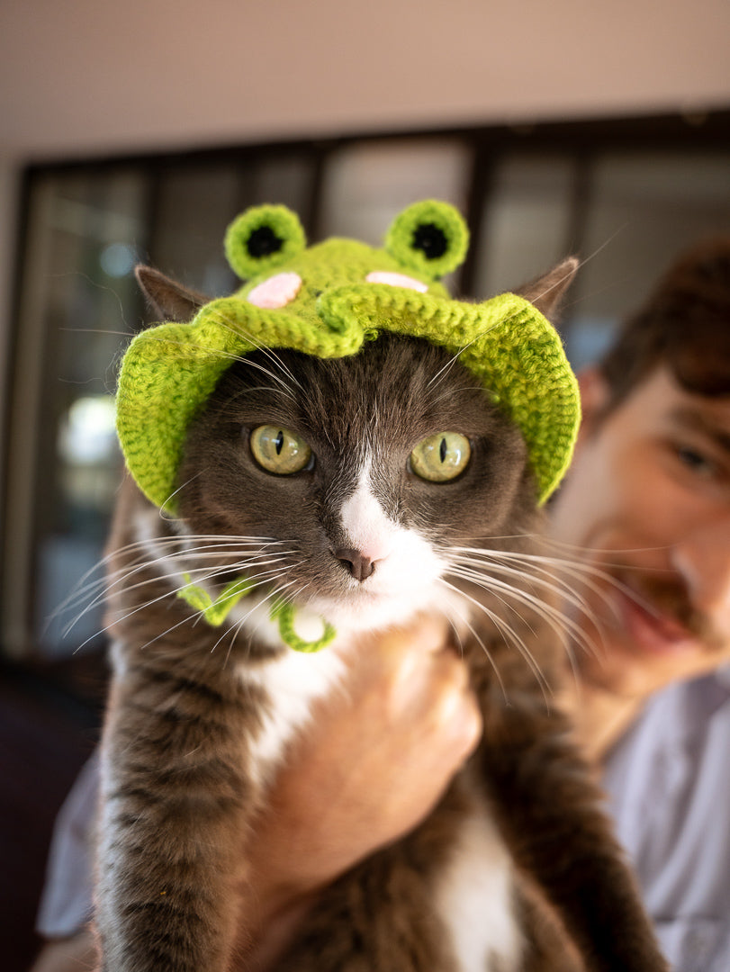 The Froggy