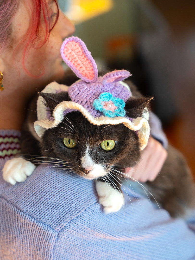 The Bunny