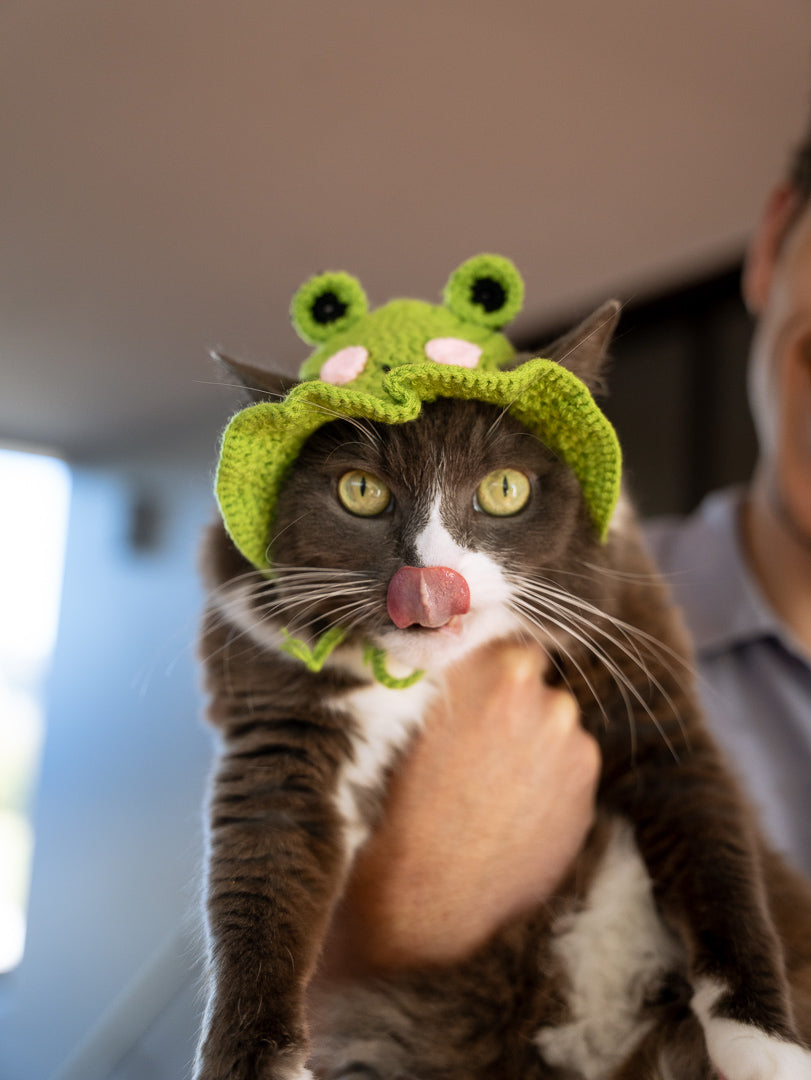 The Froggy