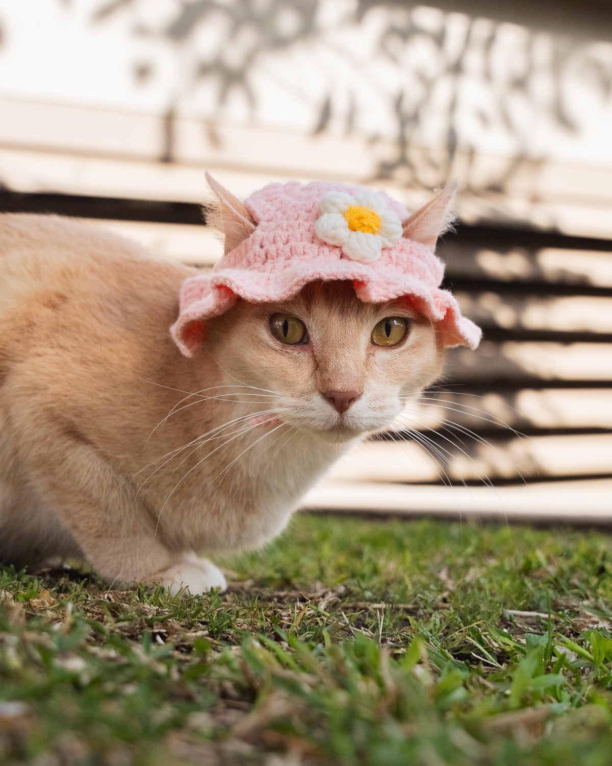 The Flower Bonnet (Pink & White)