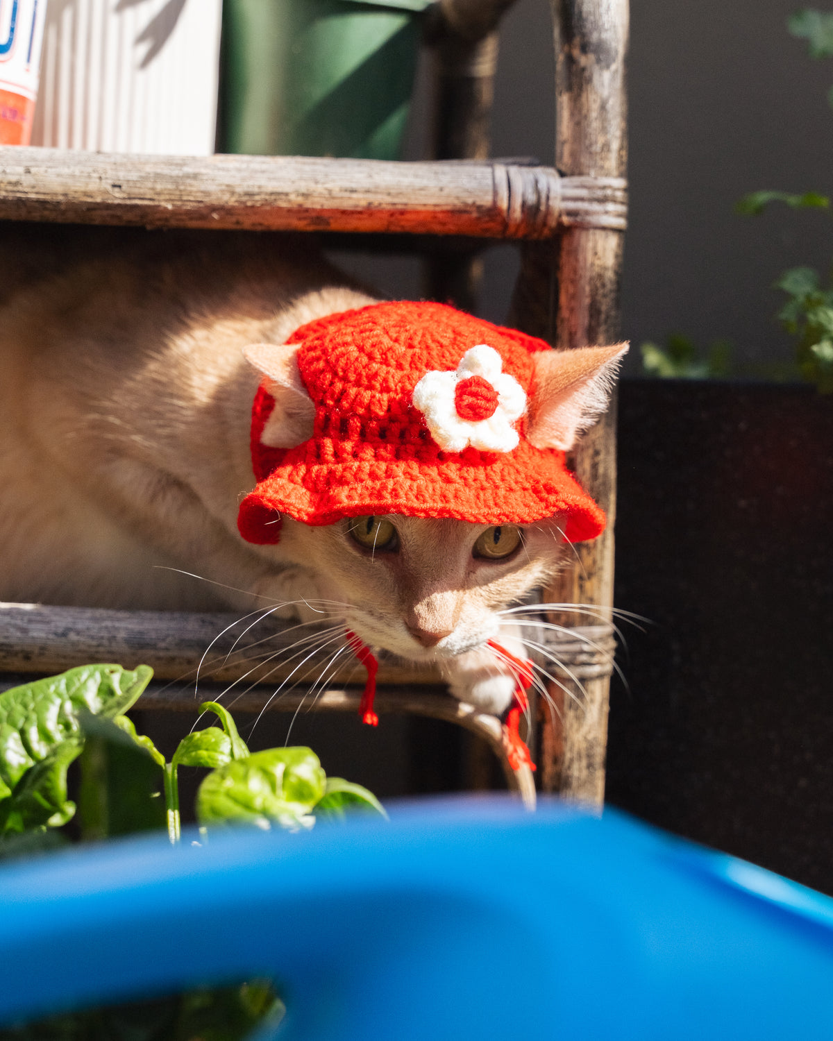 The Flower Bonnet (Red & White)