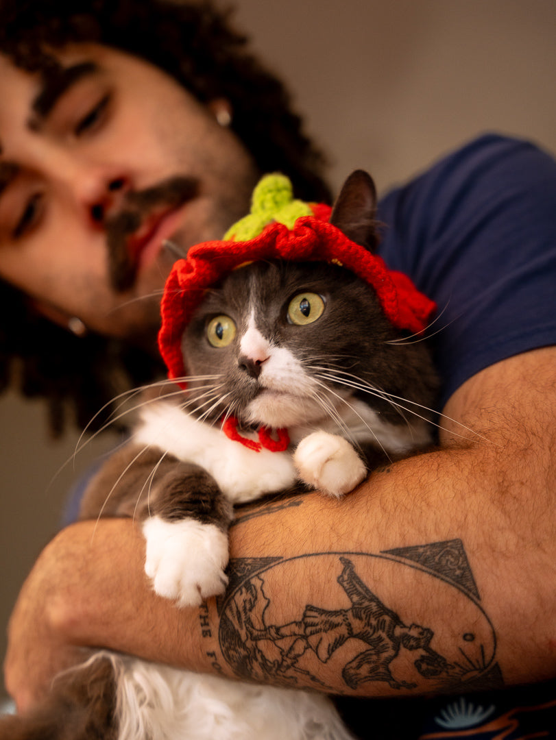 Strawberry Kitty Cap