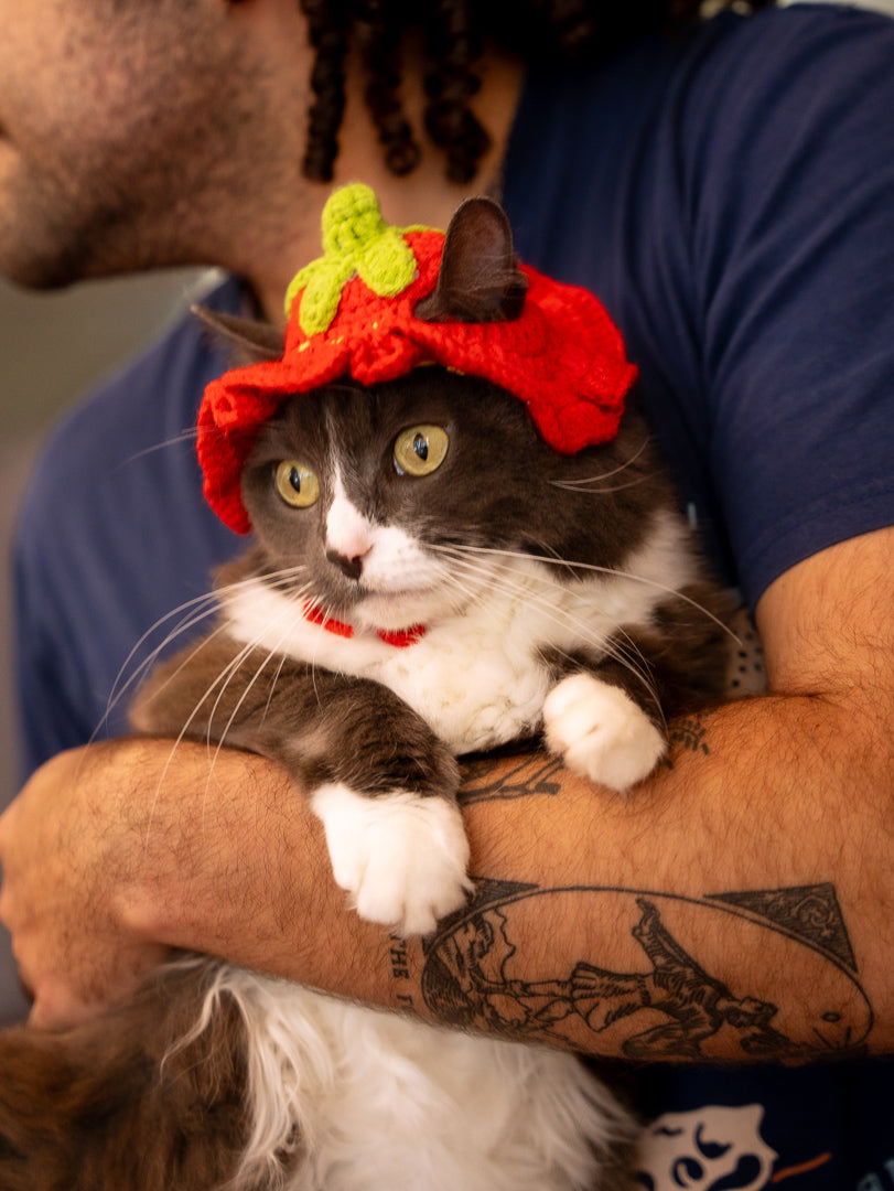 Strawberry Kitty Cap