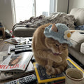 Blue White Flower Kitty Cap