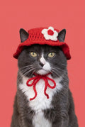 Red White Flower Kitty Cap