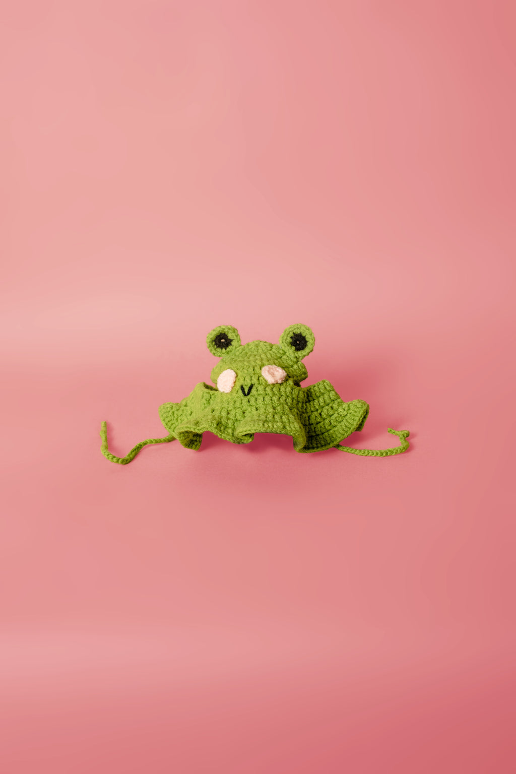 The Froggy