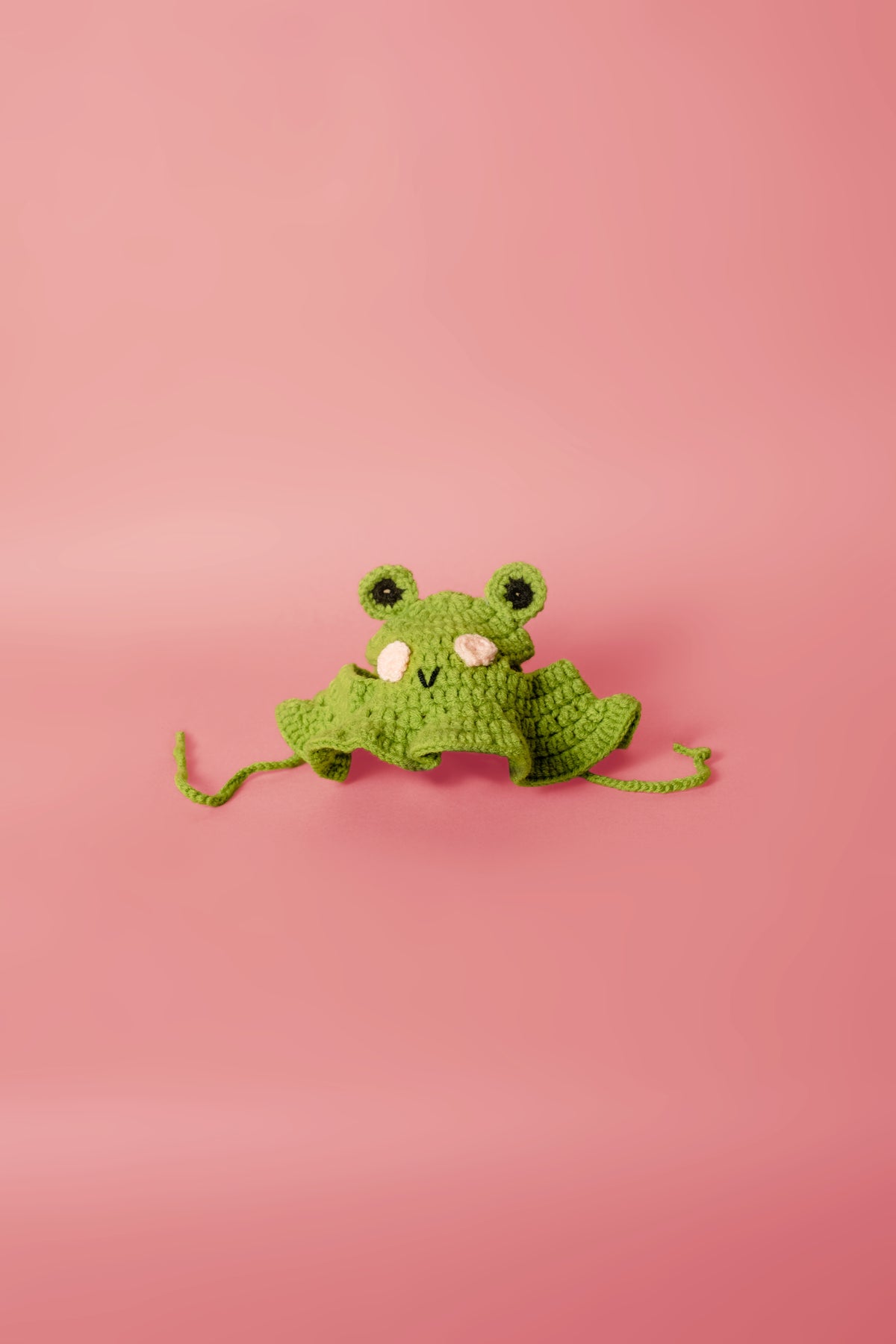 The Froggy