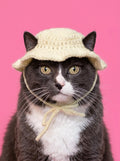 White Bonnet Kitty Cap