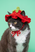 Strawberry Kitty Cap