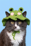 Froggy Kitty Cap