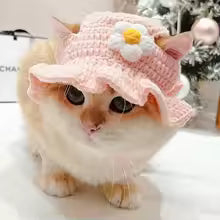 Pink Flower Kitty Cap