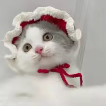 Red White Bonnet Kitty Cap